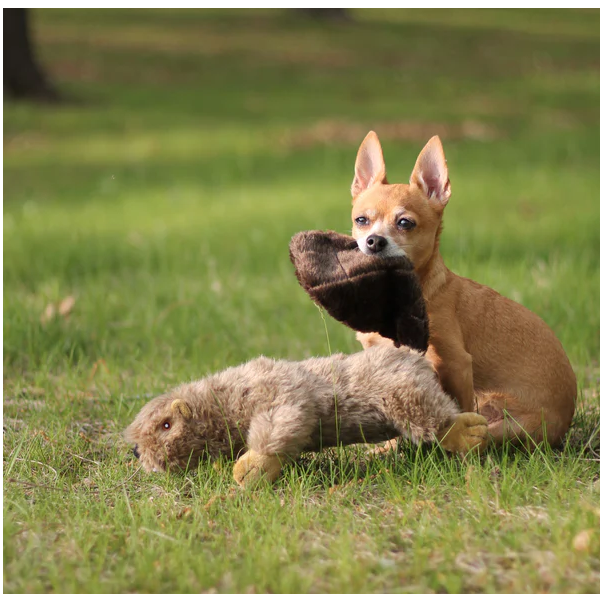 Ruff & Whiskerz Stufferz Dog Toy