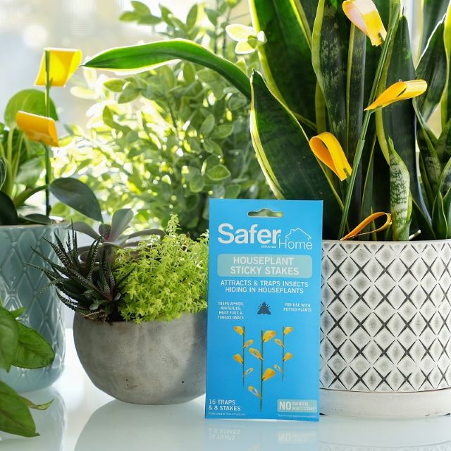 house plants sticky stakes Safer Houseplant Sticky Stakes
