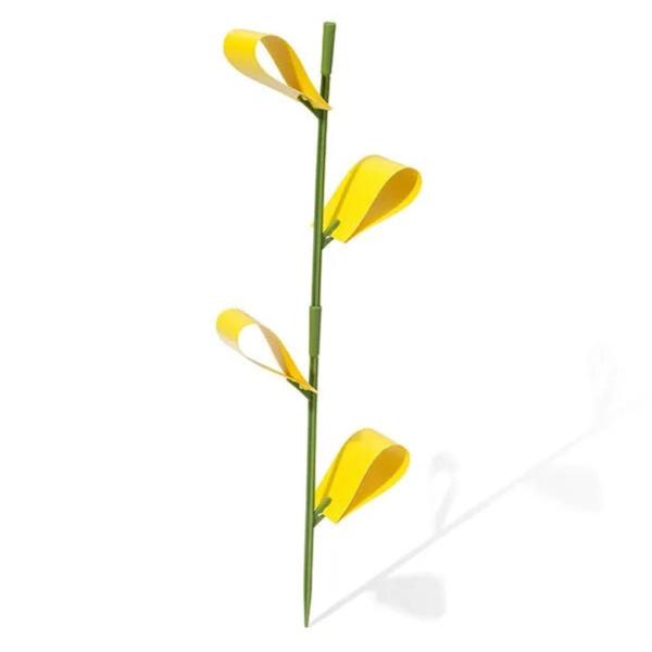 sticky traps for indoor plants Safer Houseplant Sticky Stakes