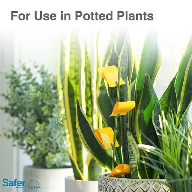 sticky house plant Safer Home Houseplant Sticky Stakes — Ellington Agway