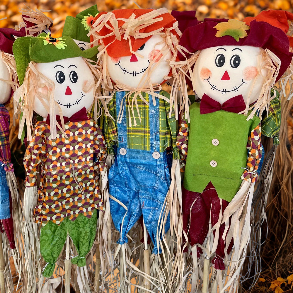 60" Scarecrow Stake, Assorted