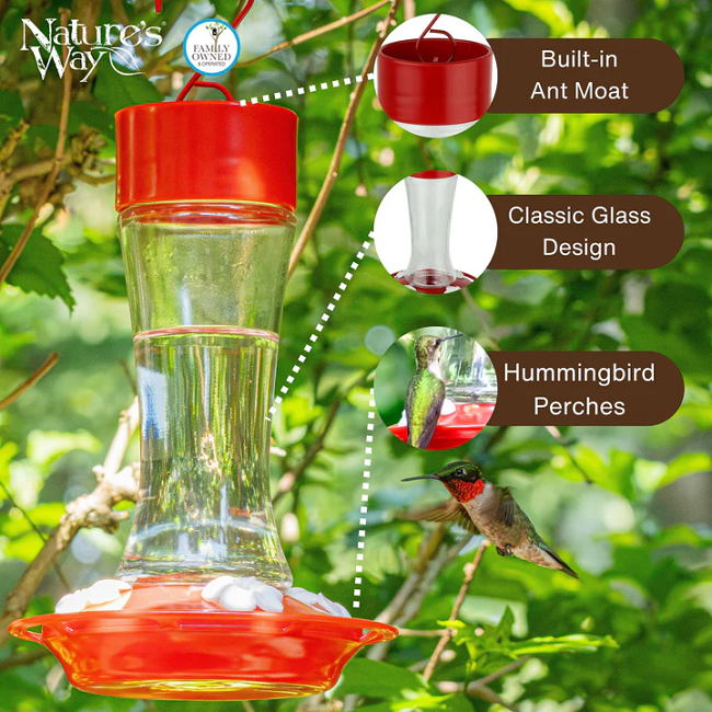 Nature's Way Scarlet Silhouette Glass Gravity Hummingbird Feeder