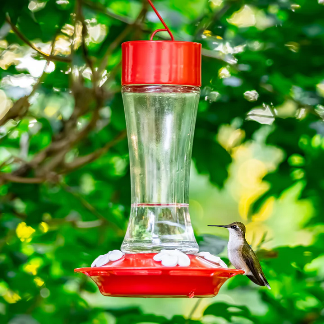 Nature's Way Scarlet Silhouette Glass Gravity Hummingbird Feeder