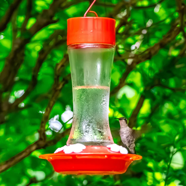 Nature's Way Scarlet Silhouette Glass Gravity Hummingbird Feeder