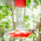 Nature's Way Scarlet Silhouette Glass Gravity Hummingbird Feeder