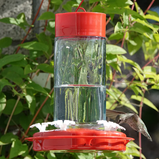 Nature's Way Scarlet Swirl Glass Gravity Hummingbird Feeder