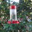 Nature's Way Scarlet Swirl Glass Gravity Hummingbird Feeder