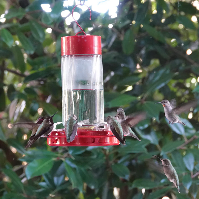 Nature's Way Scarlet Swirl Glass Gravity Hummingbird Feeder