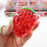 Crystal Strawberry Coconut Oil Squishy, Assorted
