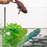 Color Changing Chameleon - Schleich Figurine