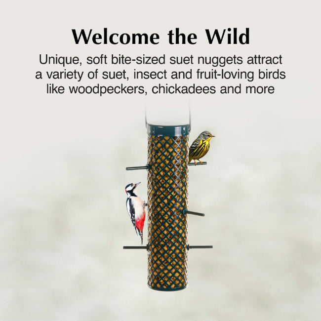 C&S Sunflower Suet Nuggets 27oz