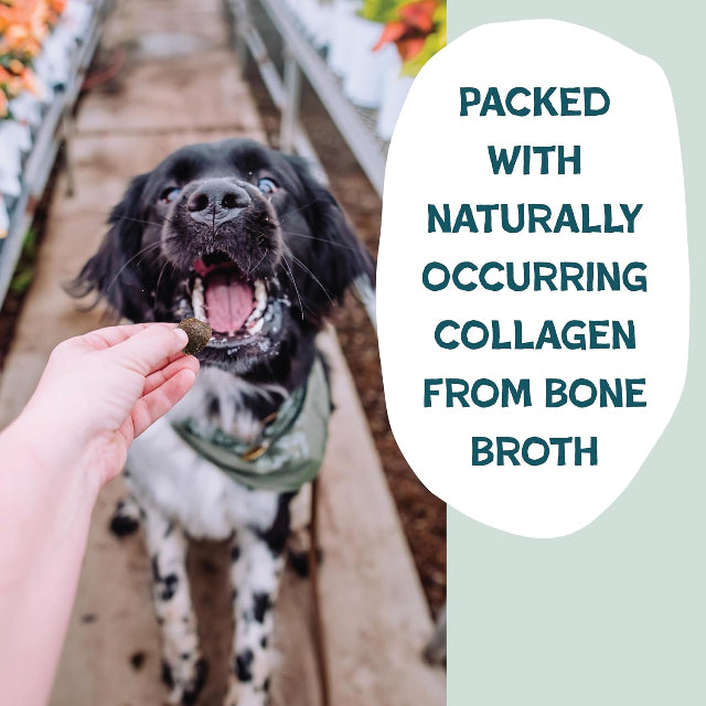 Shameless Pets Bone Broth Bits - Bacon Hits Different, 8oz. Training Treats