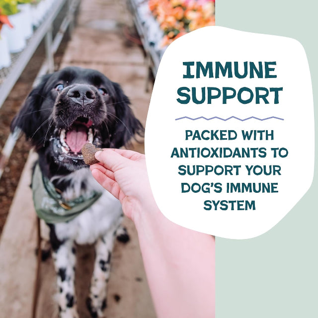 Shameless Pets - Blueberried Treasure Soft Baked Biscuits, 6 oz.