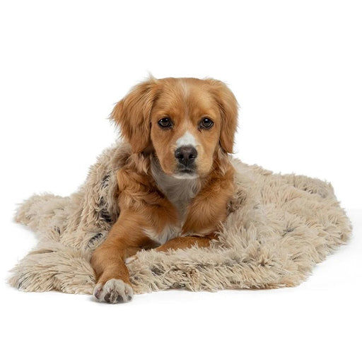 Best Friends by Sheri Calming Pet Throw Blanket in Shag Fur, Taupe