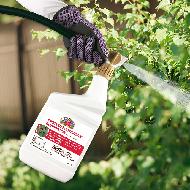 Captain Jack’s Spotted Lanternfly Eliminator 16oz Ready-to-Spray Hose End