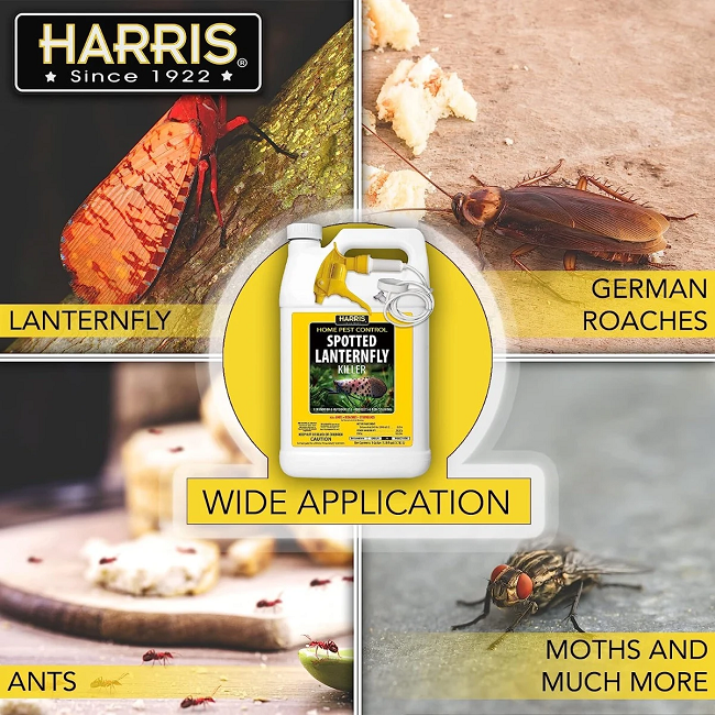 Harris Spotted Lanternfly Killer, 1 Gallon Ready to Use