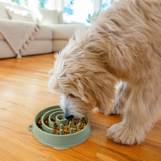 Outward Hound Fun Feeder Circle Slow Feeder Dog Bowl, Sage