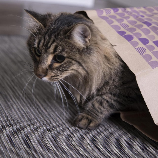 SmartyKat Catnip Caves 2-Pack Catnip Infused Paper Bags
