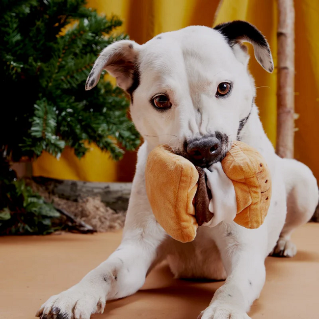 Bark More S'mores Plush Dog Toy