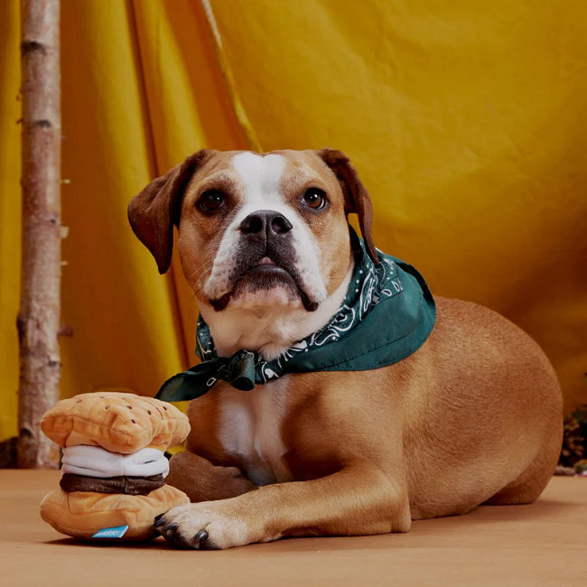 Bark More S'mores Plush Dog Toy