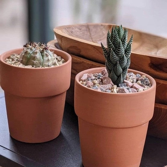 Sol Soils Original Sol Soil Topper 1 Qt