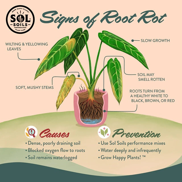 Sol Root Sol Soils Chunky Perlite™ Soil Amendment 2 Qt. — Ellington Agway