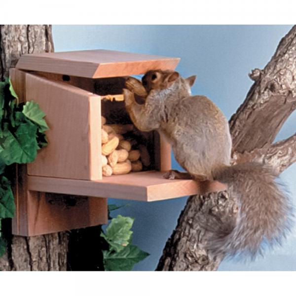 Squirrel Munch Box Wooden Squirrel Feeder SEWF2081