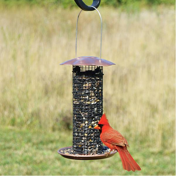 Petite Copper Finish Sunflower Feeder by Songbird Essentials