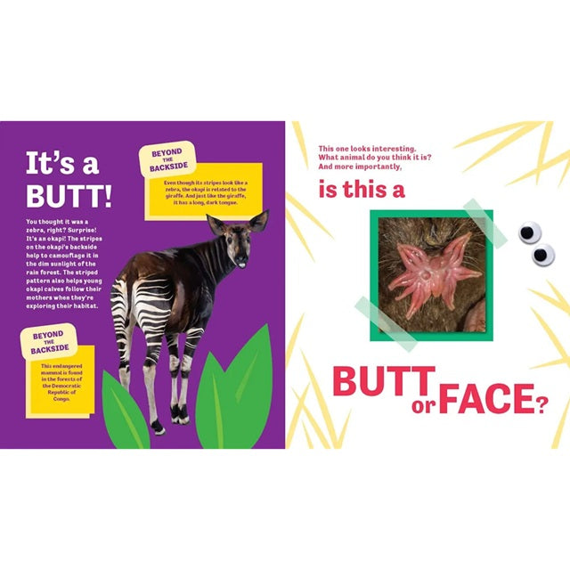 Butt or Face? Guessing Game Picture Book