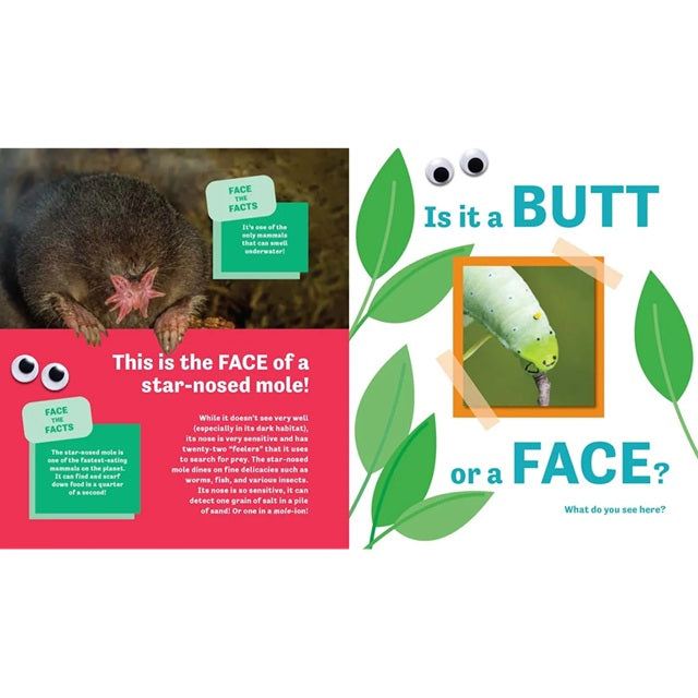 Butt or Face? Guessing Game Picture Book