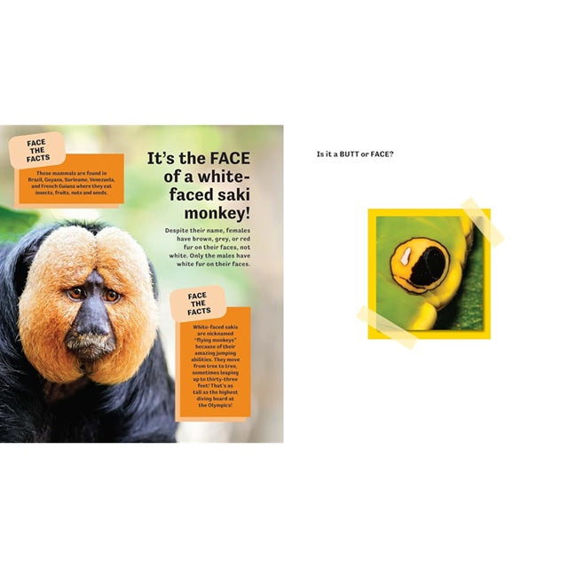 Butt or Face? Volume 2: Revenge of the Butts Guessing Game Picture Book