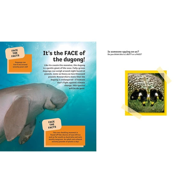 Butt or Face? Volume 2: Revenge of the Butts Guessing Game Picture Book