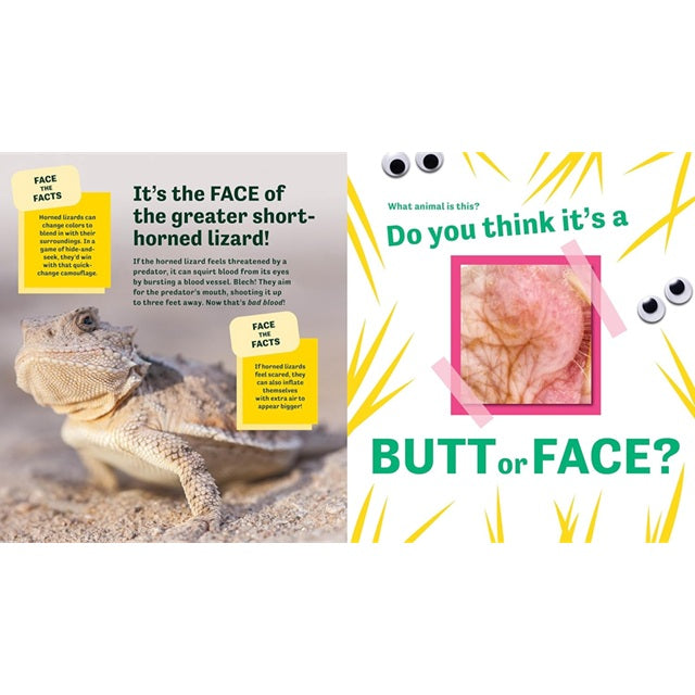 Butt or Face? Volume 3: Super Gross Butts Guessing Game Picture Book