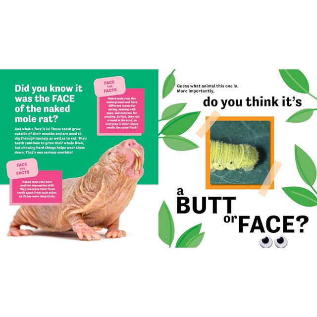 Butt or Face? Volume 3: Super Gross Butts Guessing Game Picture Book