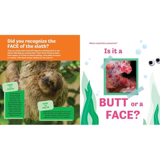 Butt or Face? Volume 4: Ador-A-Butts! Guessing Game Picture Book