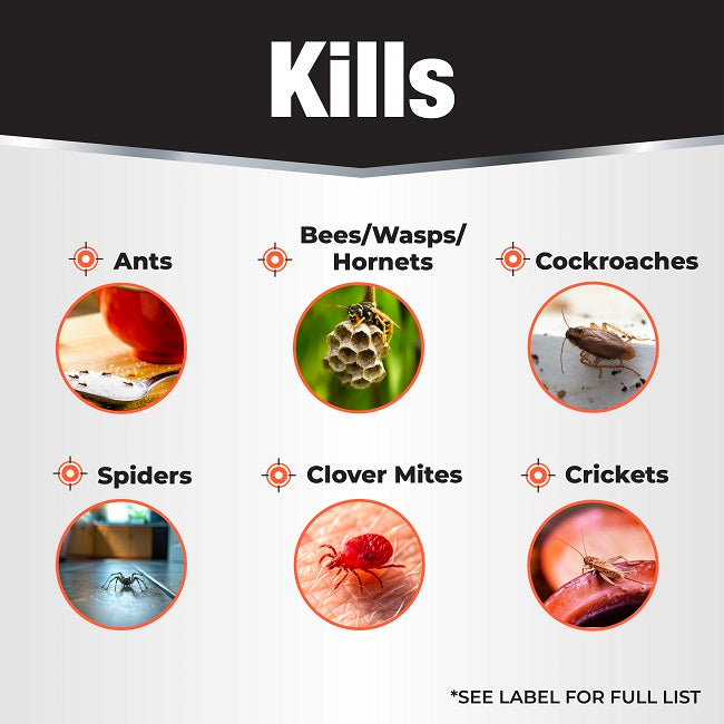 Revenge Spider & Ground Bee Killer, 10 oz. Dust with Applicator Bottle