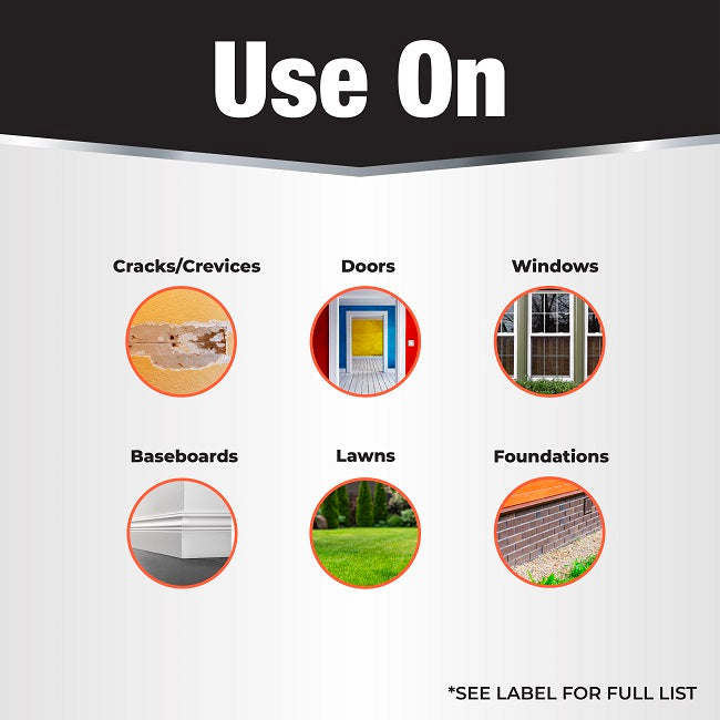 Revenge Spider & Ground Bee Killer, 10 oz. Dust with Applicator Bottle