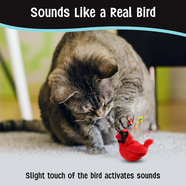 SPOT Songbird Motion-Activated Sound Cat Toy, Assorted