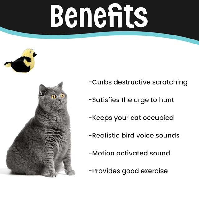 SPOT Songbird Motion-Activated Sound Cat Toy, Assorted