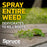 Spruce Weed & Grass Killer, 64 Oz. Refill