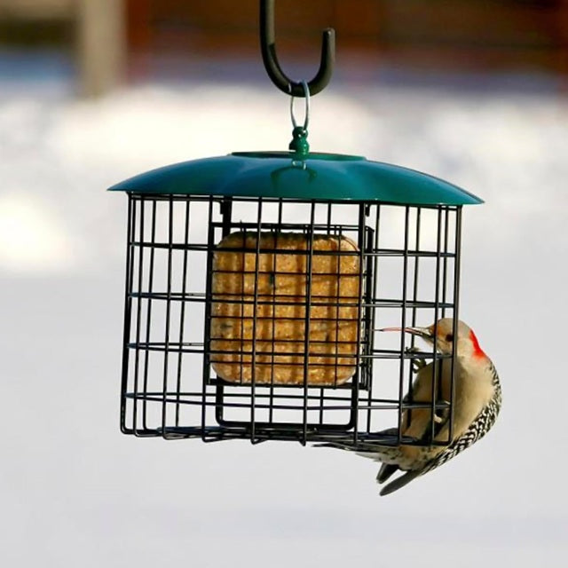 Squirrel Defeater Double-Suet Caged Feeder BE197
