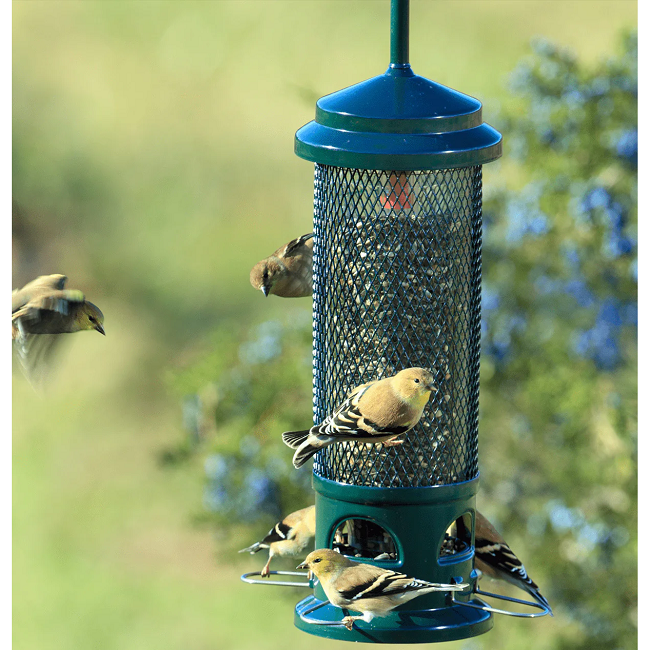 Squirrel Buster® Legacy Bird Feeder, #1082-V01
