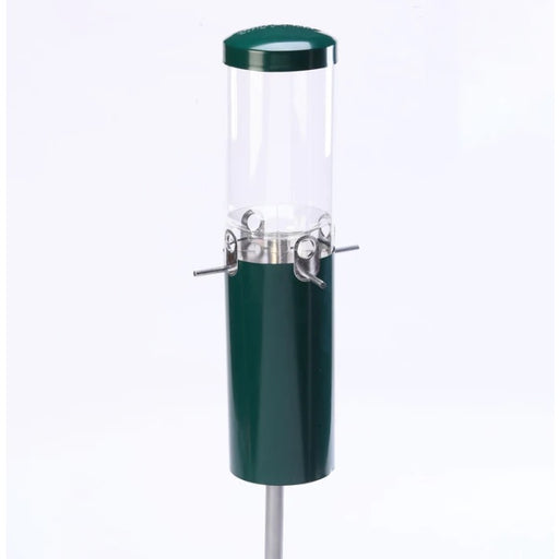 Backyard Nature Squirrel Proof Classic Bird Feeder with Pole and Squirrel Baffle