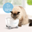 Catit PIXI Fountain Light Stainless Steel