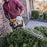 STIHL HS 45 18 in. Gas Hedge Trimmer