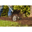 STIHL BF-KM Mini-Cultivator Attachment