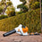 STIHL BGA 160 Battery Handheld Blower Kit with AP 300 S Battery
