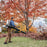 STIHL BR 800 C-E MAGNUM Gas Backpack Blower