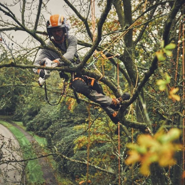 STIHL GTA 40 Battery-Powered Garden Pruner Kit
