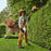 STIHL HLA 40 Battery Powered Extended-Reach Hedge Trimmer Kit